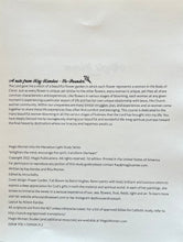 Load image into Gallery viewer, Blooming in Holiness: Essentials for a Lifelong Adventure in Holiness