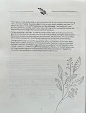 Load image into Gallery viewer, Blooming in Holiness: Essentials for a Lifelong Adventure in Holiness