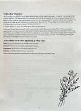 Load image into Gallery viewer, Blooming in Holiness: Essentials for a Lifelong Adventure in Holiness